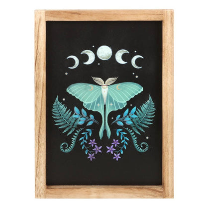 Luna Moth Wooden Framed Wall Art