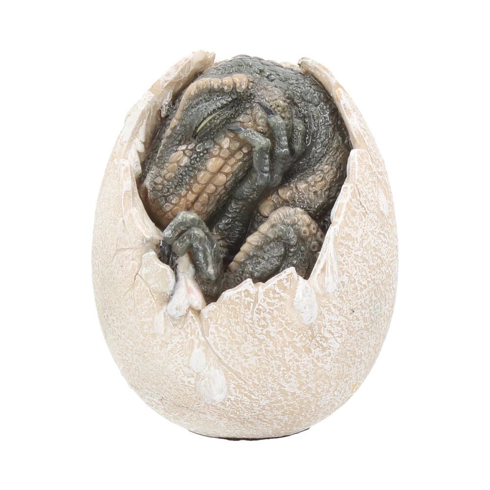 Wyrmlings Dragon Egg First Light 12cm