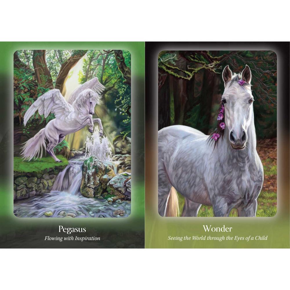 Council of Horses Oracle Cards