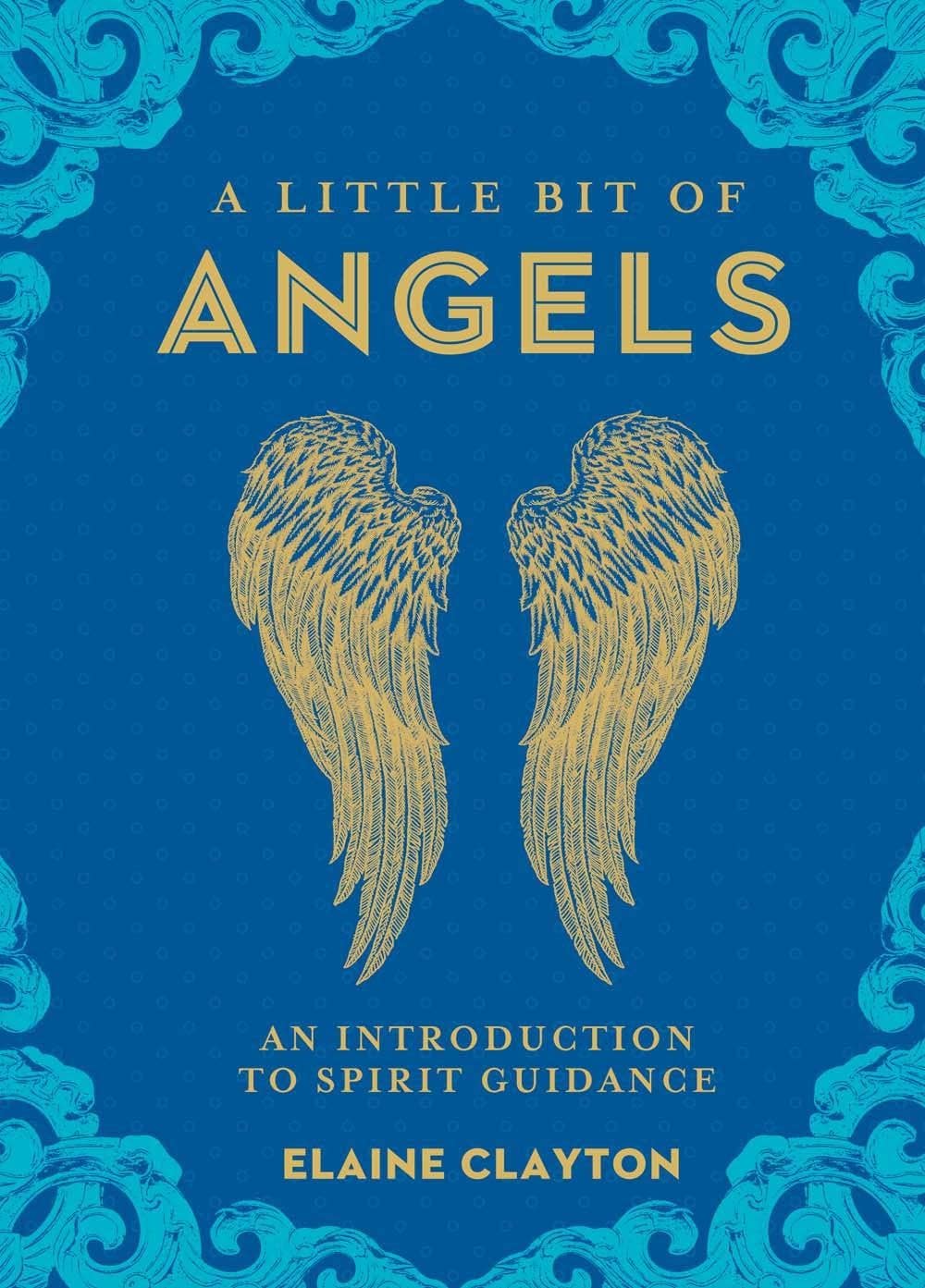 BOOK - Little Bit of Angels